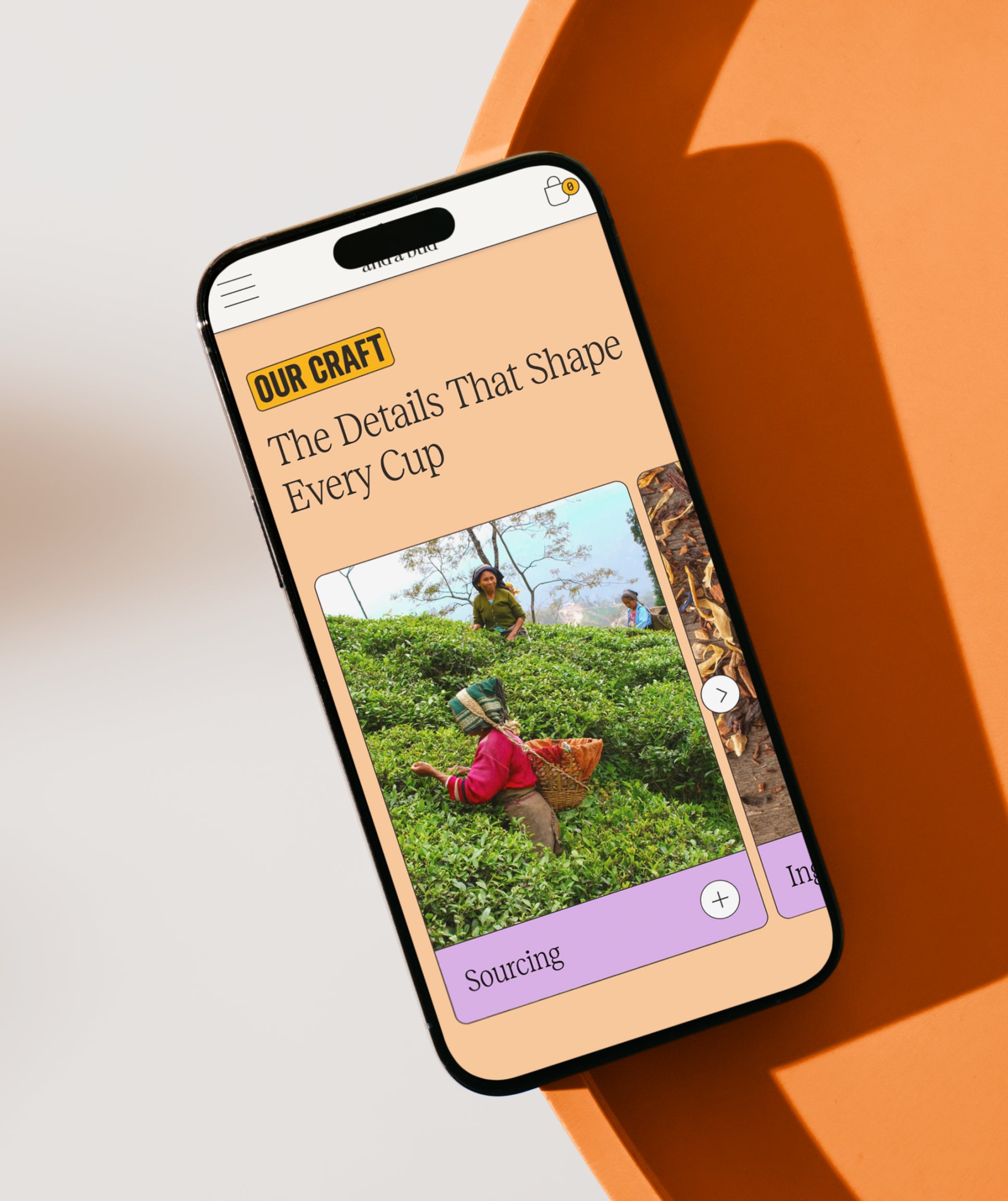 Case study media