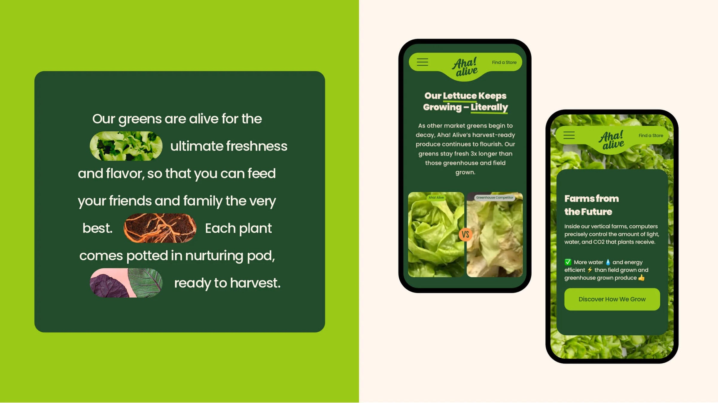 Two smartphone screens displaying a green app interface with text and images of lettuce.