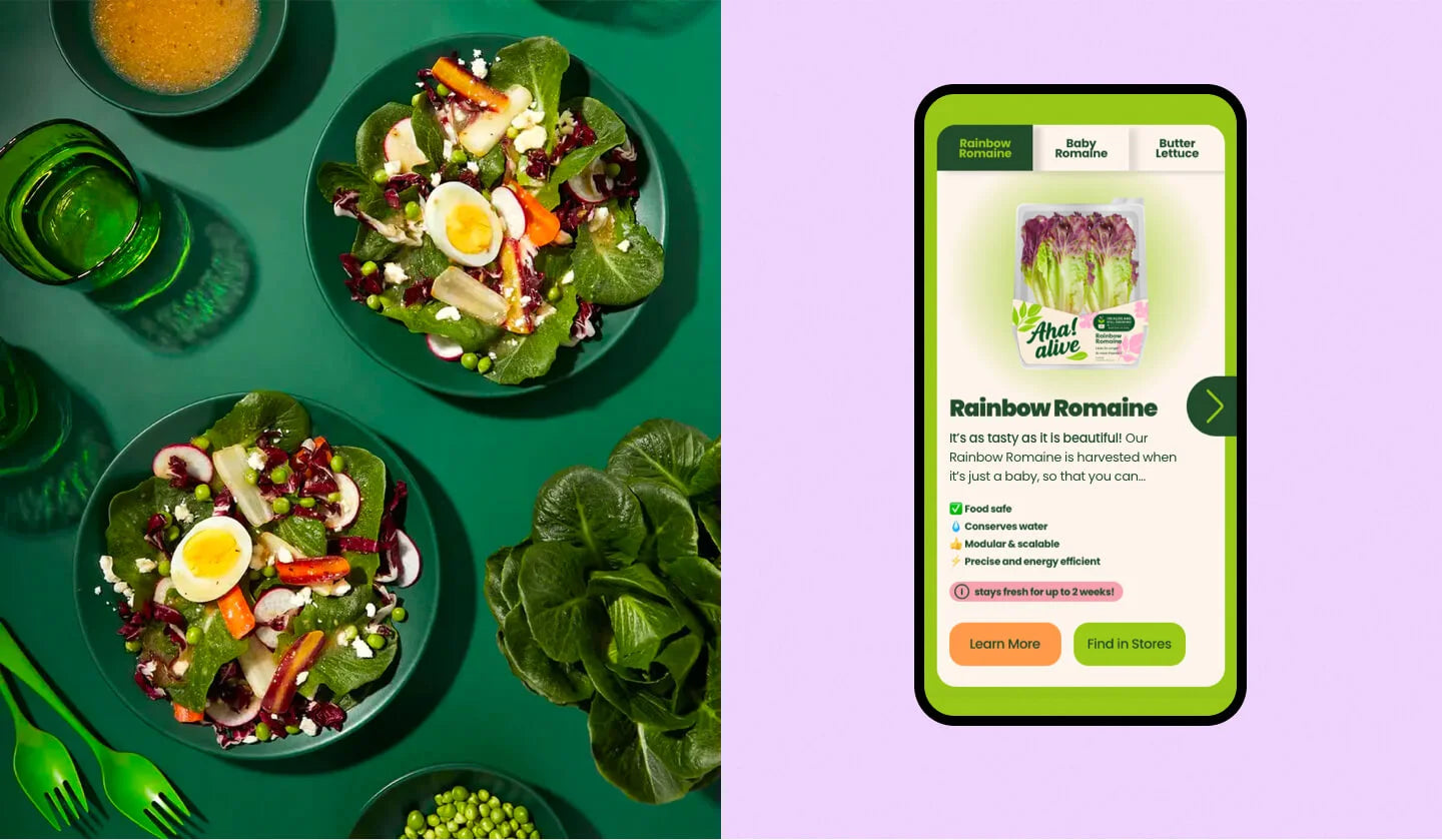 Two plates of salad with a smartphone displaying a salad app on a green and purple background.