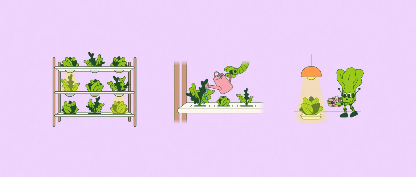 Animated sequence of a character tending to plants on shelves, watering them, and using a lamp.