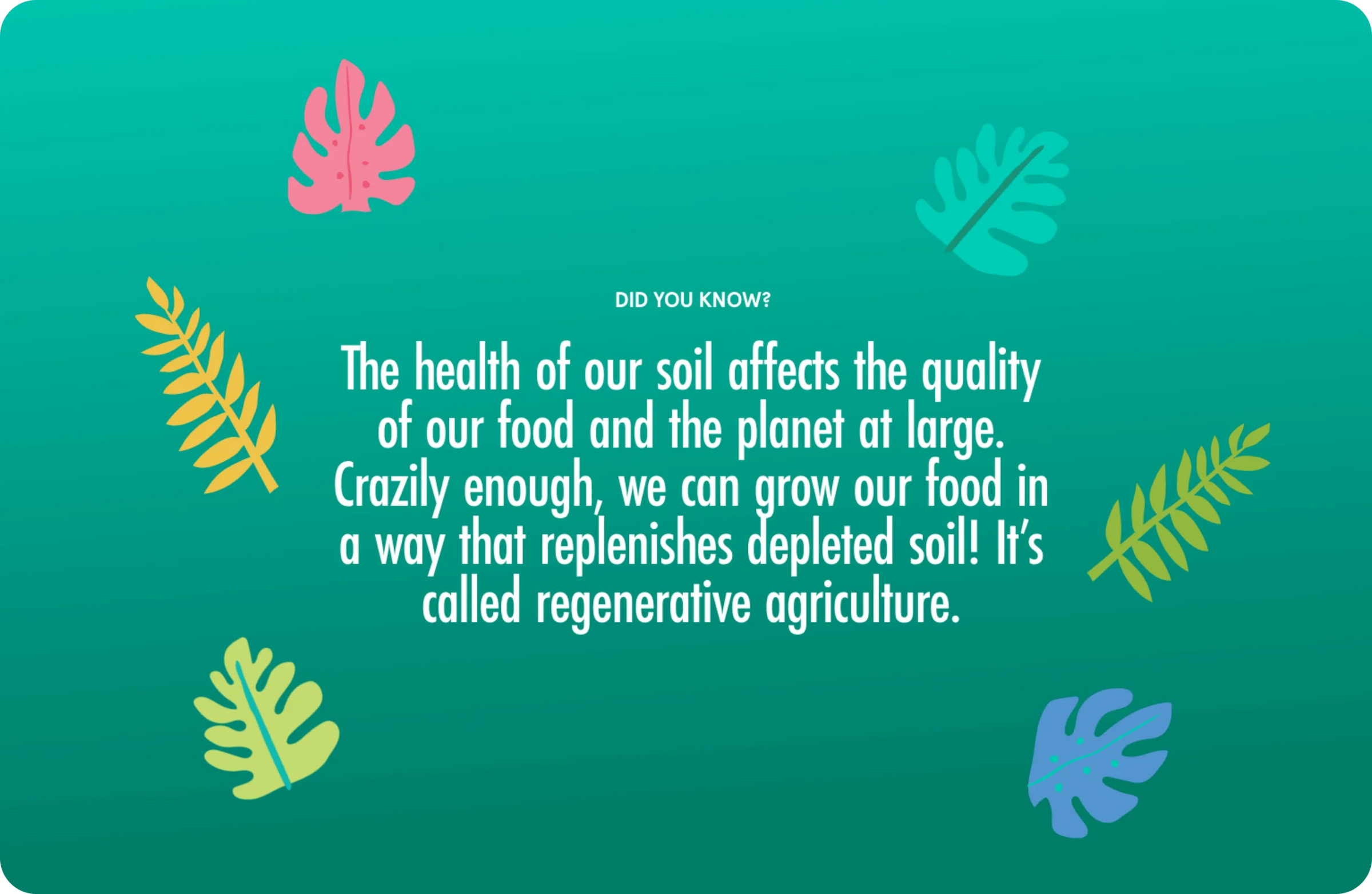 Educational graphic about regenerative agriculture with text and colorful leaf illustrations on a teal background.