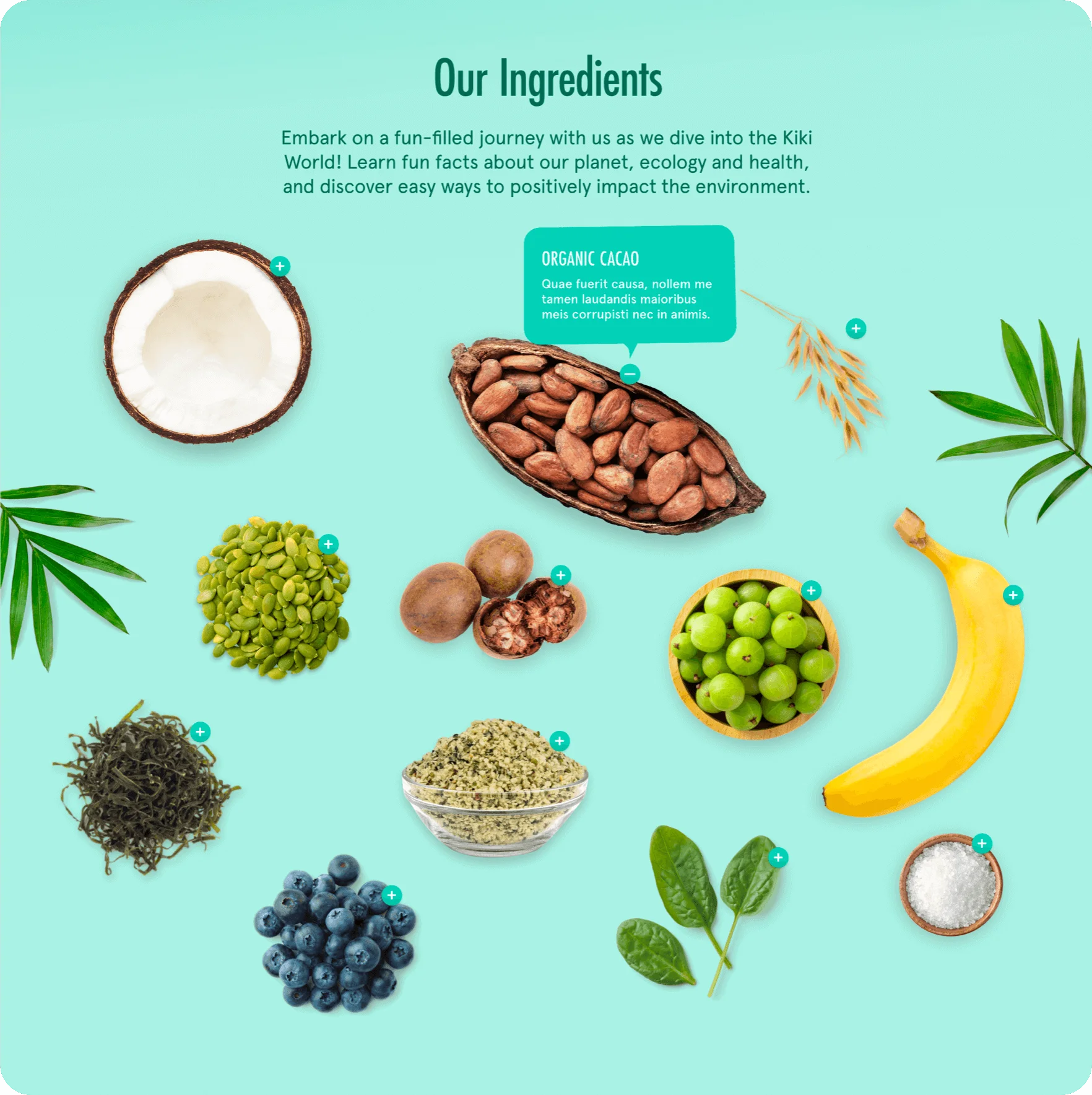 Ingredients displayed on a light blue background with text about Kiki World.