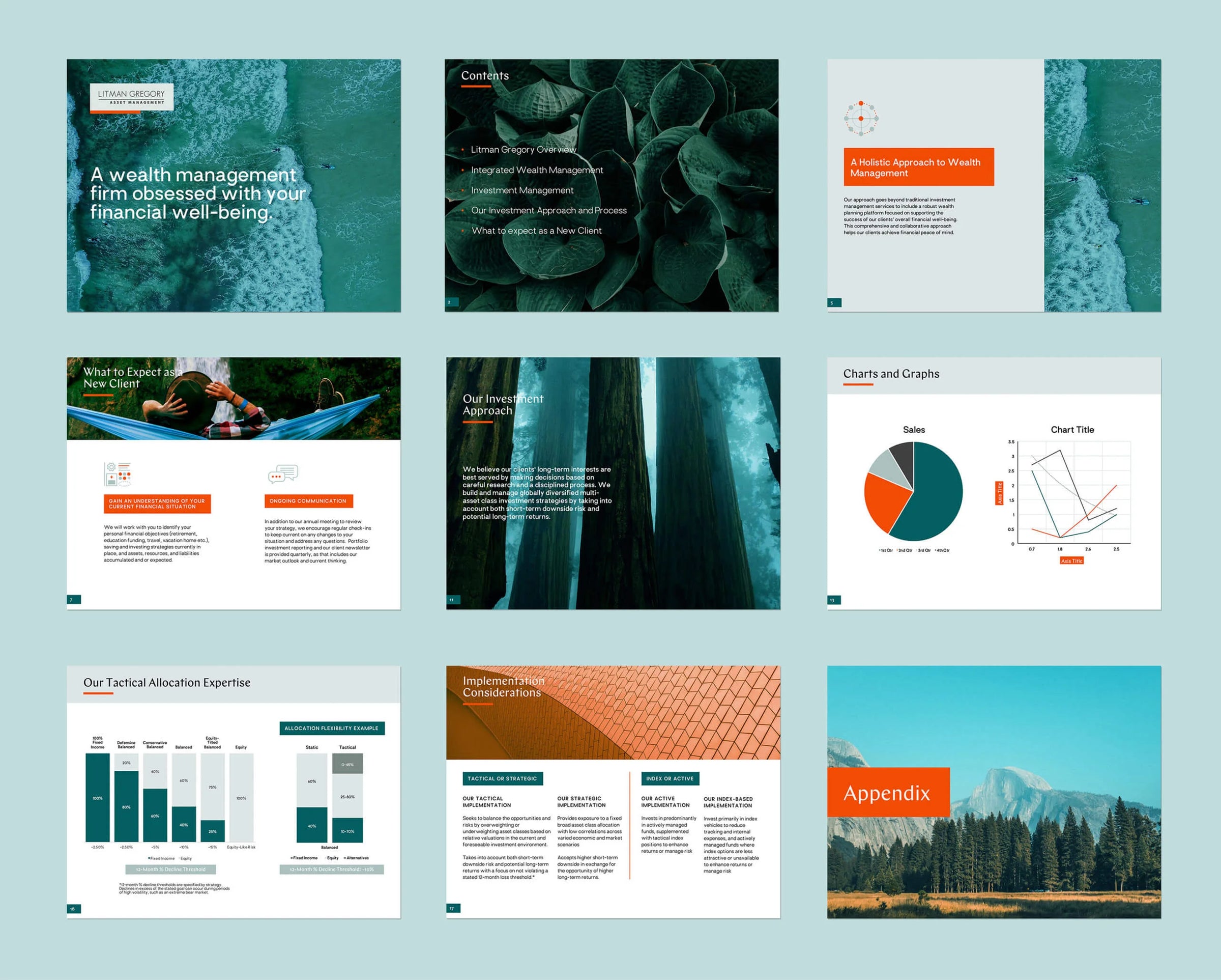 Collection of financial management presentation slides with charts, graphs, and text on a light blue background.