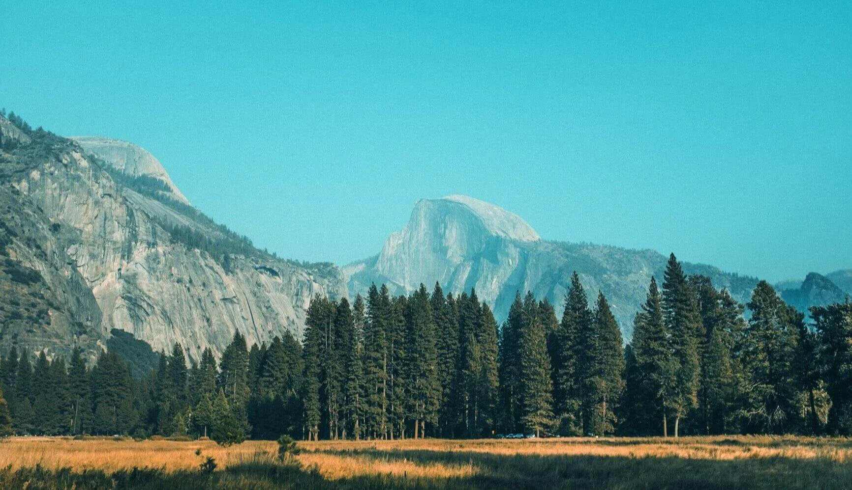Scenic view of mountains and trees with a clear blue sky