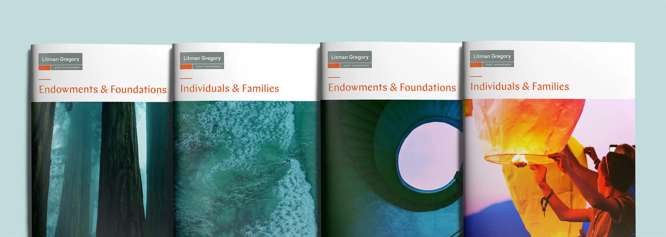 Four books titled 'Endowments & Foundations' and 'Individuals & Families' on a light blue background.