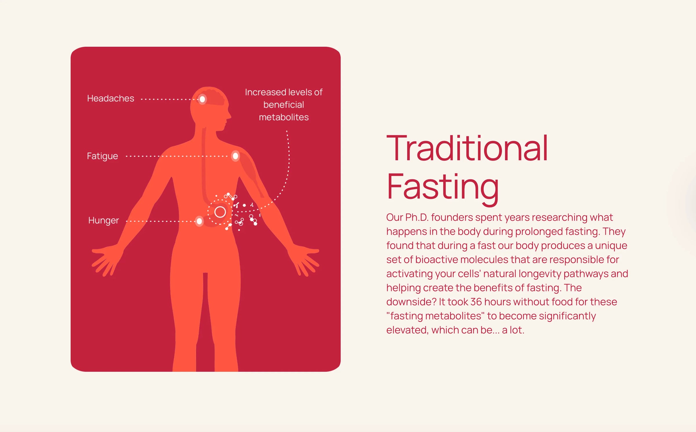 Diagram of a human body with fasting effects on a red background