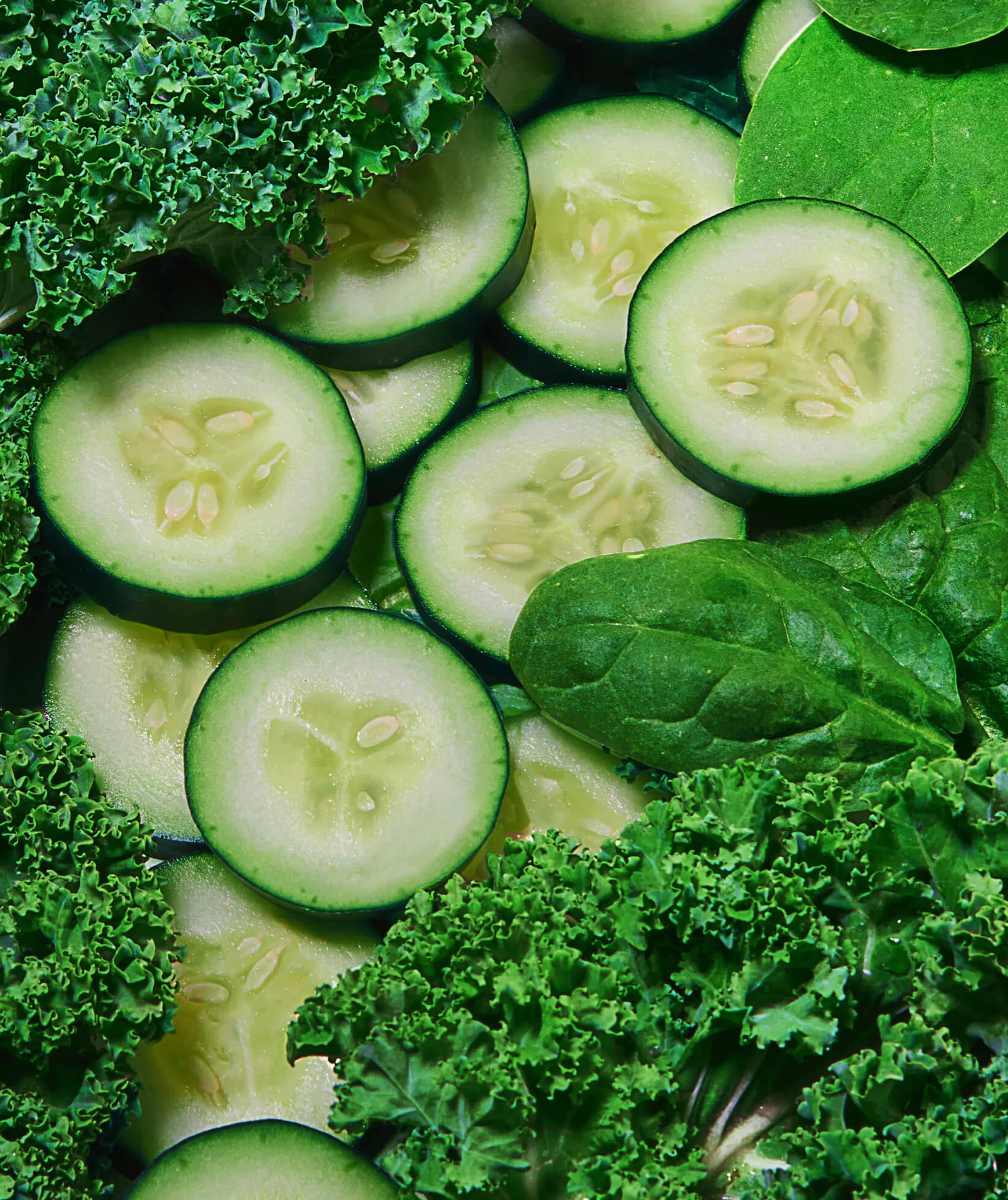 Sliced cucumbers and green leafy vegetables on a green background