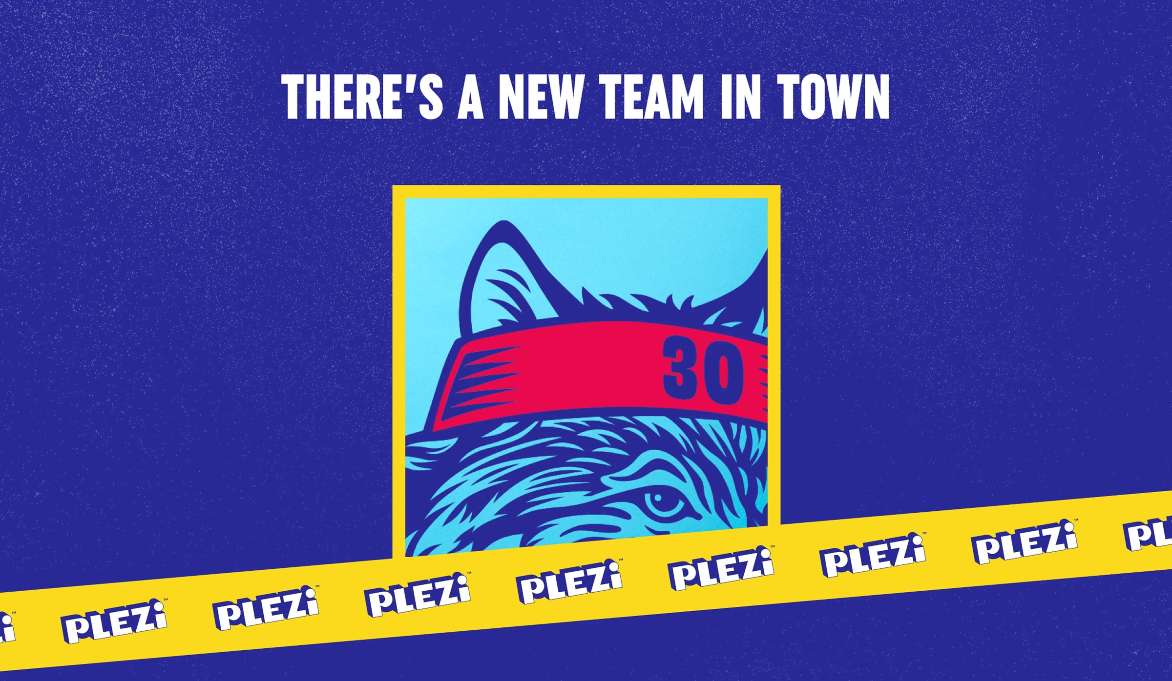 Blue graphic with a zebra wearing a red headband with the number 30, on a blue background with 'Plex' branding.