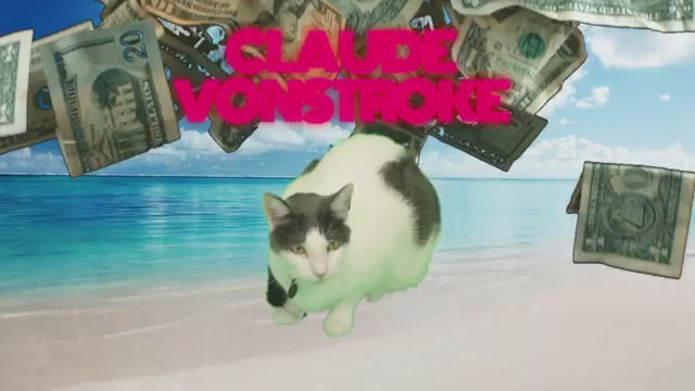 maybe a poster image about the video