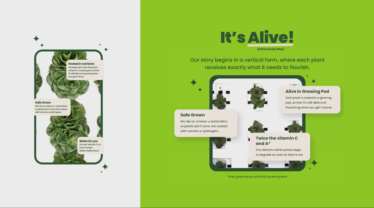 maybe a poster image about the video