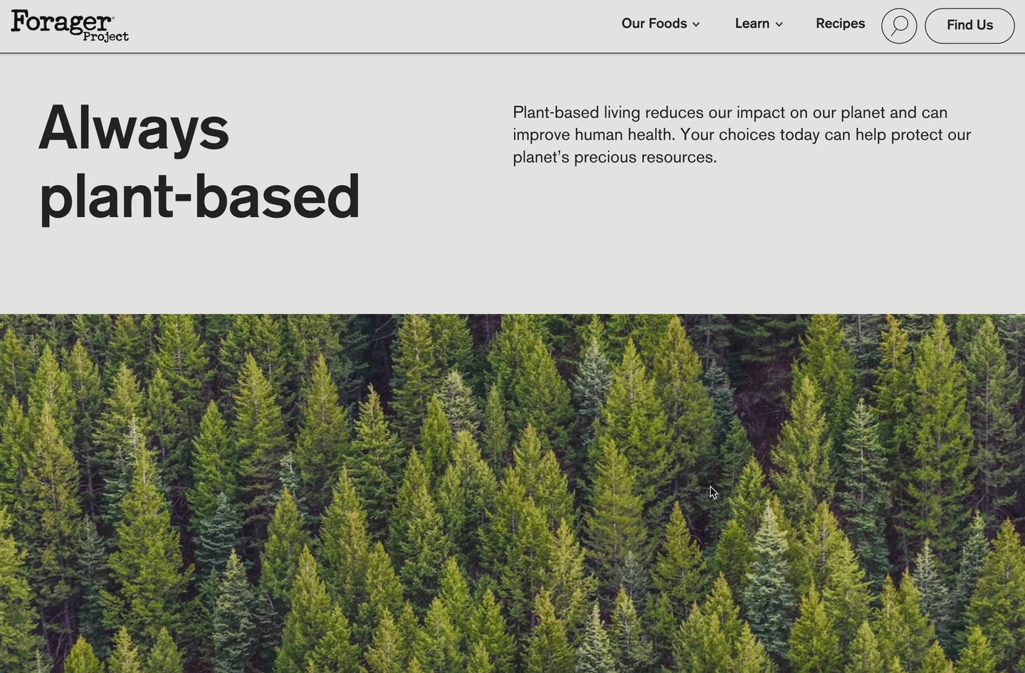 maybe a poster image about the video