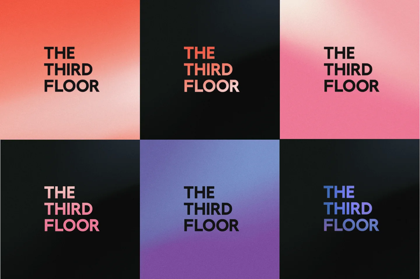 Gradient background with 'The Third Floor' text in various colors