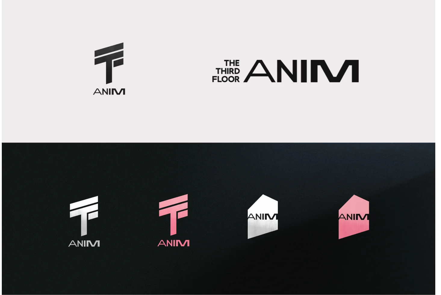 Collection of ANIM logos in different styles and colors on a white and black background.